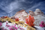 DAY_04_SOUTH_COYOTE_BUTTES (73)_COMPOSITION