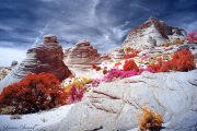 DAY_04_SOUTH_COYOTE_BUTTES (82)_COMPOSITION