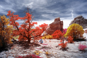 DAY_04_SOUTH_COYOTE_BUTTES (85)_COMPOSITION