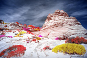 DAY_04_SOUTH_COYOTE_BUTTES (88)_COMPOSITION