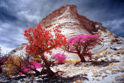 DAY_04_SOUTH_COYOTE_BUTTES (99)_COMPOSITION