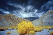 INFRARED_ANZA_BORREGO_APRIL16_2017 (29)_ARTISTIC_02