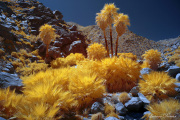 INFRARED_ANZA_BORREGO_APRIL16_2017 (56)_FINAL_01