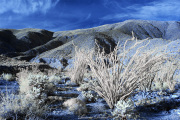 INFRARED_ANZA_BORREGO_FEB25_2017 (152)_FINAL_01_BIS