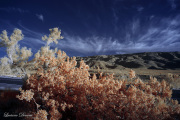 INFRARED_ANZA_BORREGO_MARCH30_2017 (27)_FINAL_01