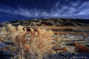 INFRARED_ANZA_BORREGO_MARCH30_2017 (29)_FINAL_01