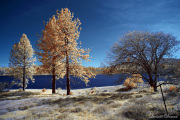 INFRARED_ANZA_BORREGO_MARCH30_2017 (2)_FINAL_01