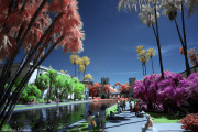 INFRARED_BALBOA_PARK_MARCH28_2017_T5 (17)COMPOSITION