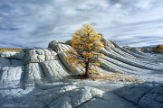 INFRARED_COLORADO_PLATEAU_MARCH2018_DAY7_WHIT_POCKET-(219)_FINAL_01