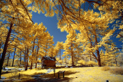 INFRARED_CUYAMACA_LAKE_APRIL02_2017_6D (40)_FINAL_02