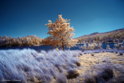 INFRARED_CUYAMACA_LAKE_APRIL02_2017_6D (72)_FINAL_01