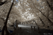 INFRARED_DAYTON_JULY_01_2017 (78)_FINAL_02