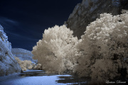 INFRARED_DAY_05_LOWER_HACKBERRY (39)_FINAL_03