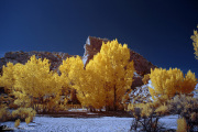 INFRARED_DAY_05_LOWER_HACKBERRY (56)_FINAL_01