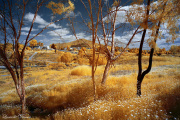 INFRARED_LAKE_MURRAY_APRIL_14_2017 (17)_FINAL_02