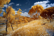 INFRARED_LAKE_MURRAY_APRIL_14_2017 (24)_FINAL_02