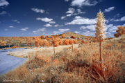 INFRARED_LAKE_MURRAY_APRIL_14_2017 (41)_FINAL_01