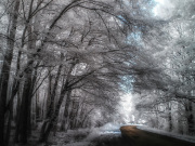 marcin-nosal-infrared-gallery-13