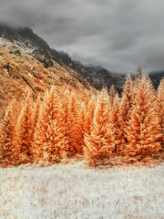 marcin-nosal-infrared-gallery-16