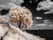 marcin-nosal-infrared-gallery-18