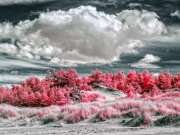 marcin-nosal-infrared-gallery-7