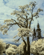 marcin-nosal-infrared-gallery-8