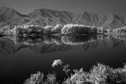 5_ Moutain's reflection-bw