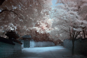 songkwangchan-infrared-gallery-1