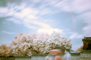 songkwangchan-infrared-gallery-14