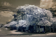 songkwangchan-infrared-gallery-19