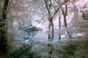 songkwangchan-infrared-gallery-2