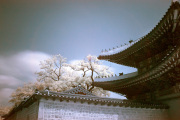 songkwangchan-infrared-gallery-24