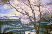 songkwangchan-infrared-gallery-25