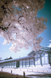 songkwangchan-infrared-gallery-3