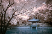 songkwangchan-infrared-gallery-5