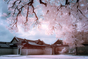 songkwangchan-infrared-gallery-7