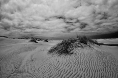 _MG_0092b