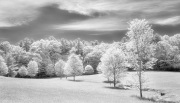 susanna-euston-infrared-gallery-15