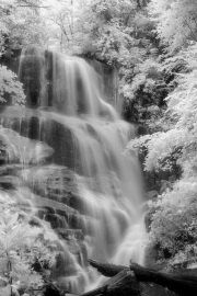 susanna-euston-infrared-gallery-27